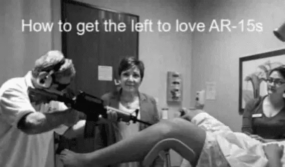 get liberals to love AR15.webp