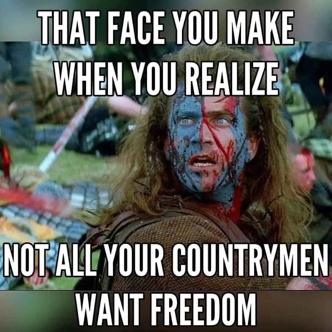 ggpnnc2woaaxfv7-webp.1155780