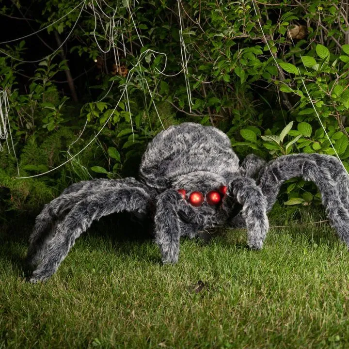 giant-halloween-spider-12-720x720.webp