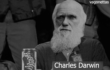 giphy-2905200338.gif