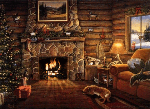 giphy (49).gif