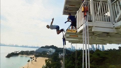 giphy (8).gif