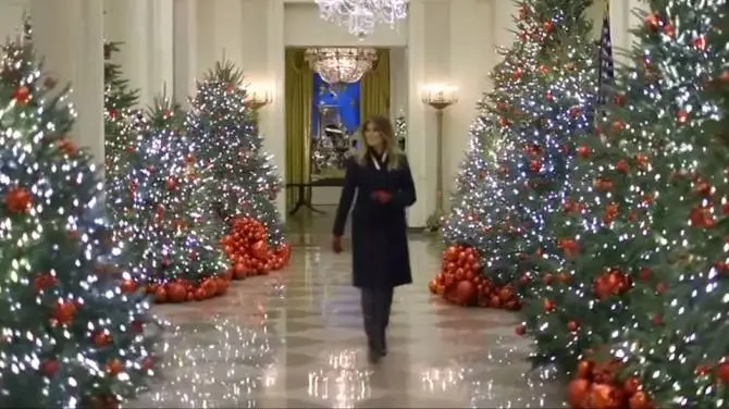 GNWEB112618firstlady.webp