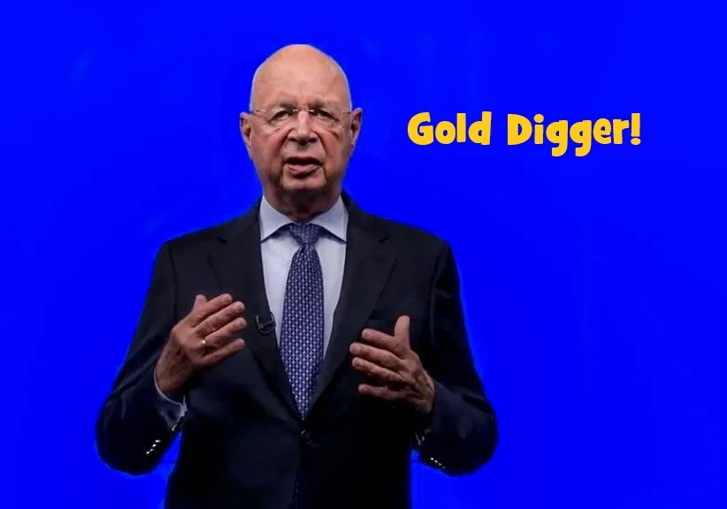 Gold Digger Schwab.webp