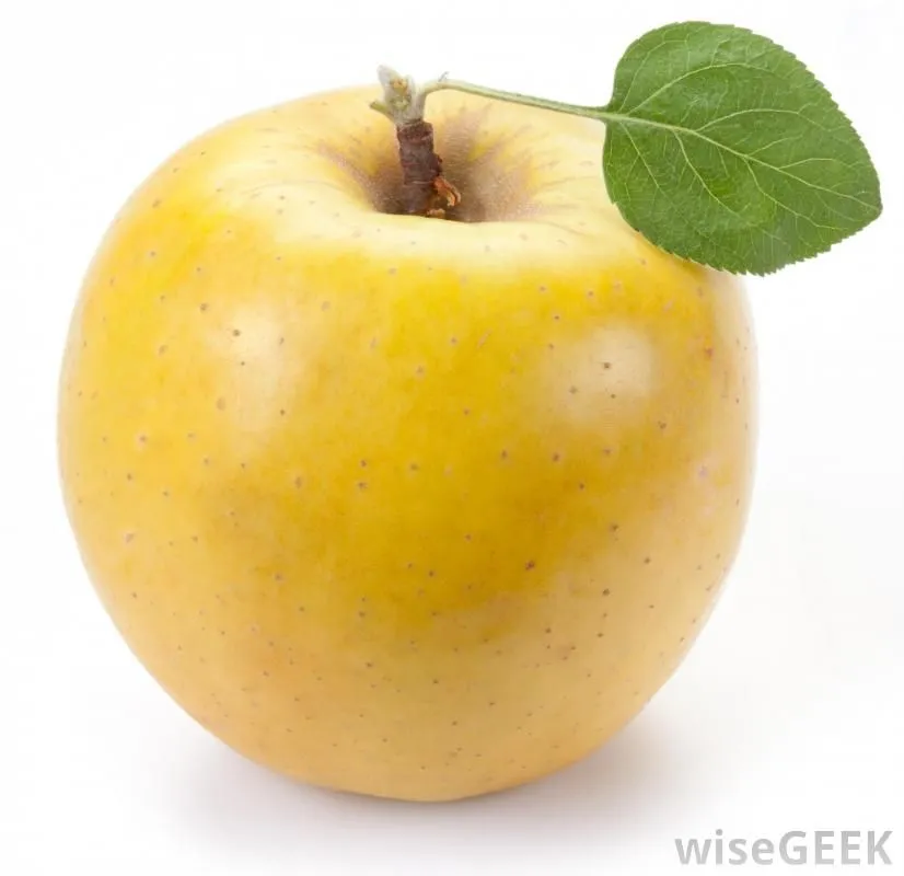 golden-yellow-apple.webp