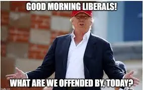 good morn libs.webp