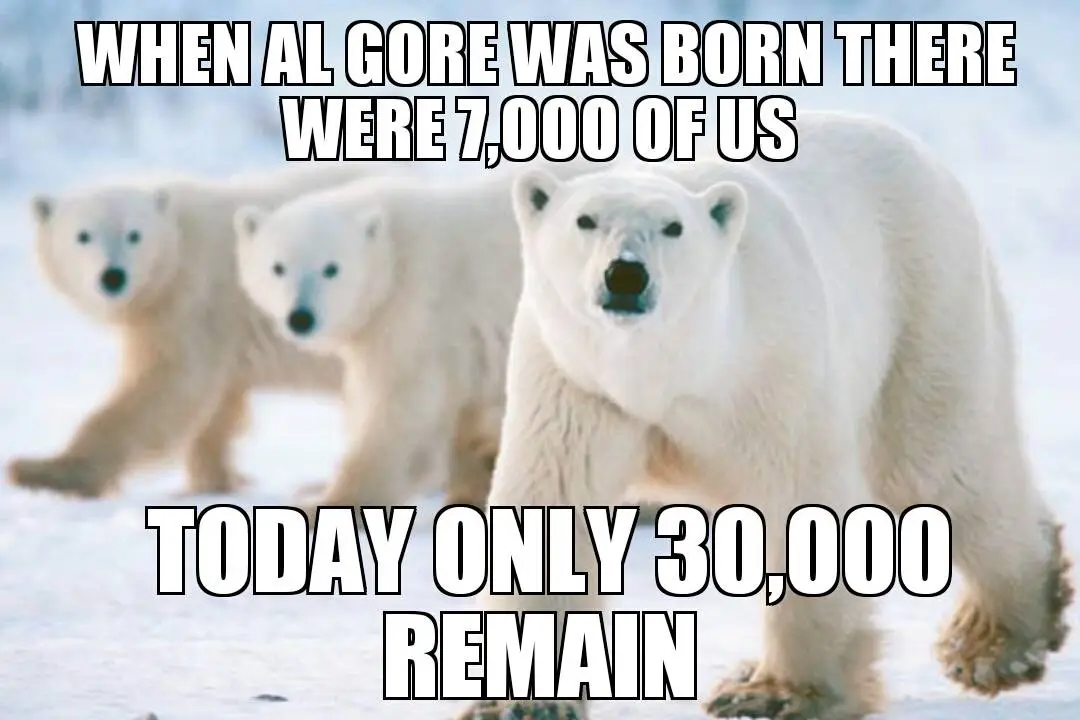 gore polar bears.webp