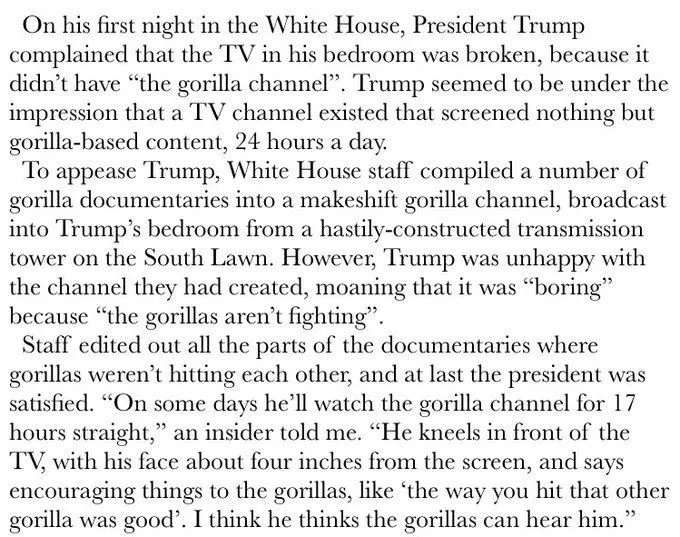 gorilla channel.webp