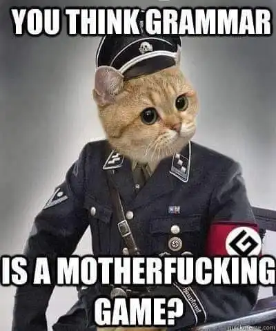 grammer nazi.webp