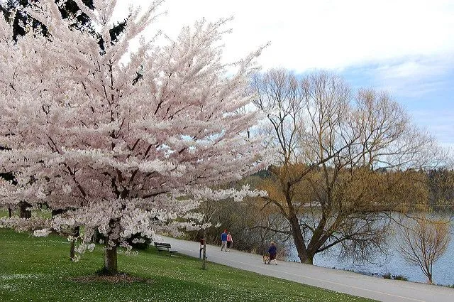 GreenLake4.webp
