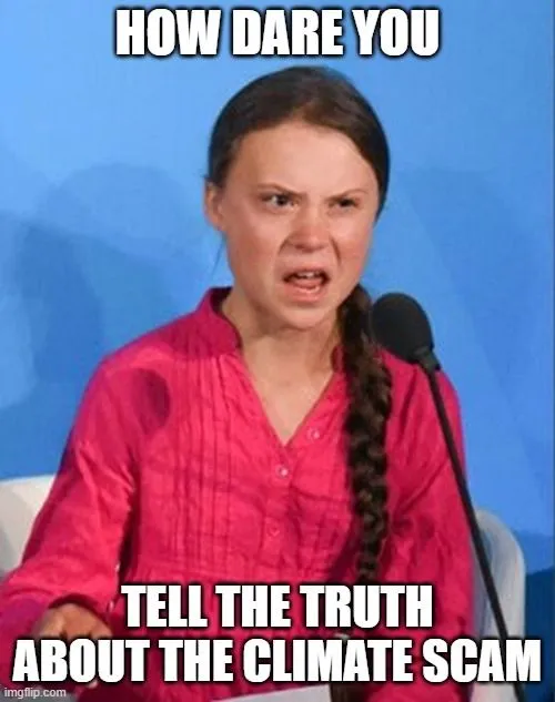 greta how dare you tell truth.webp