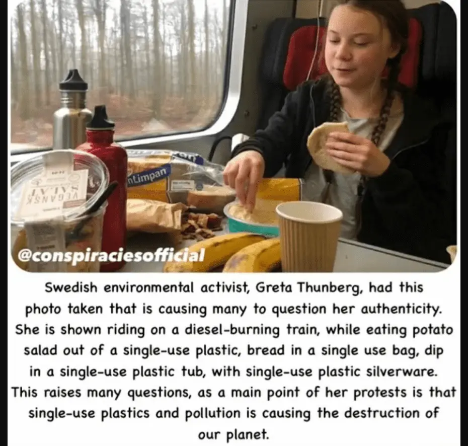 greta on a train.webp