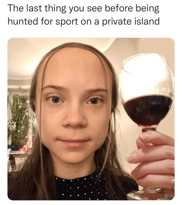 greta scary fucktard.webp