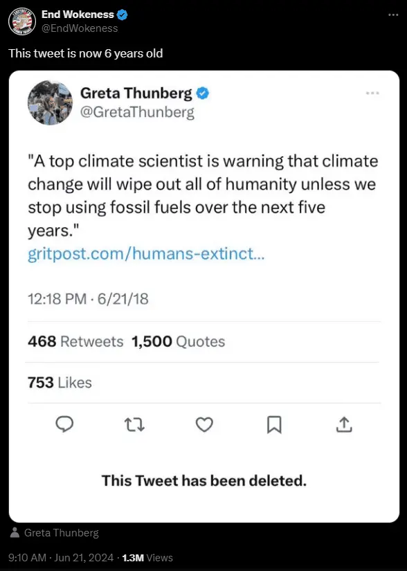 GRETA TWEET DELETED.webp