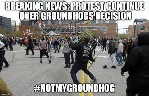 groundhog.webp