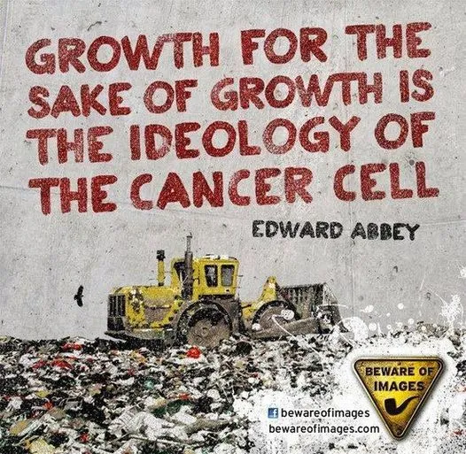 growth.webp