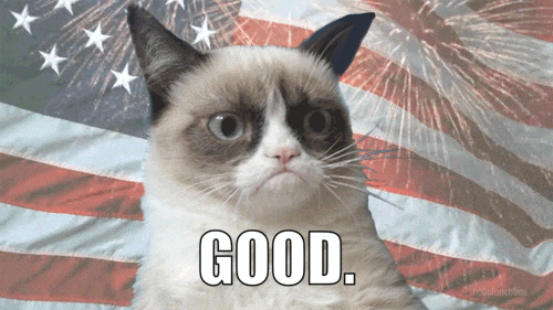 GRUMPCATGOOD.gif
