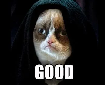 Grumpy Cat Good(1).webp