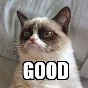 grumpy-cat-good.webp