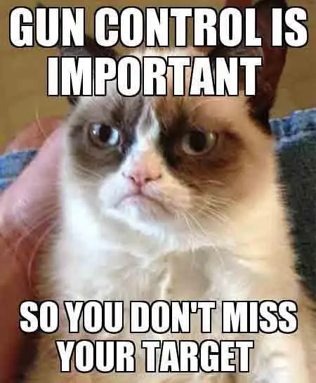 grumpy-cat-gun-control-meme.webp