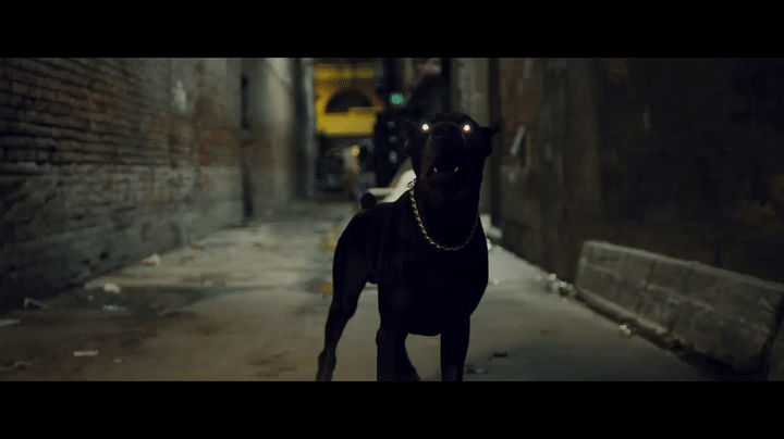 guard dogs.gif 1.gif