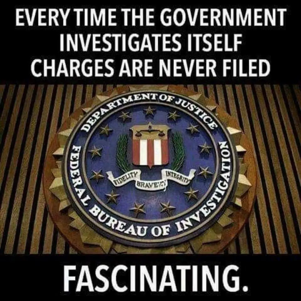 GubmintInvestigates.webp