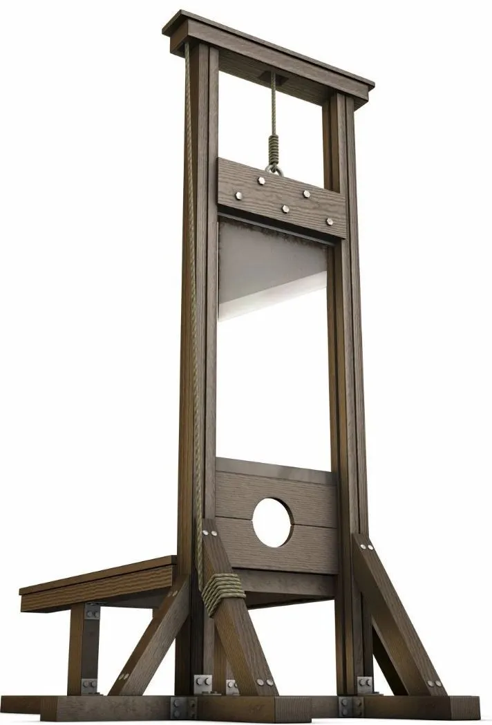 GuillotineForBiden.JPG