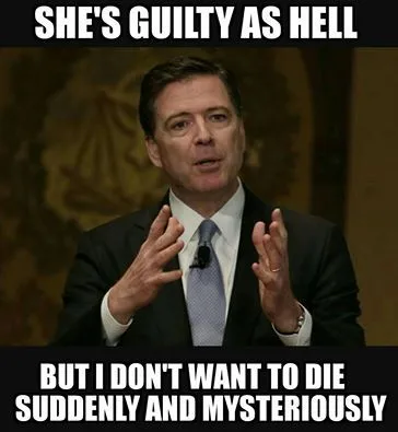 Guilty as hell.webp