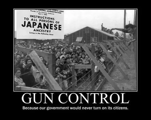 Gun Control.webp