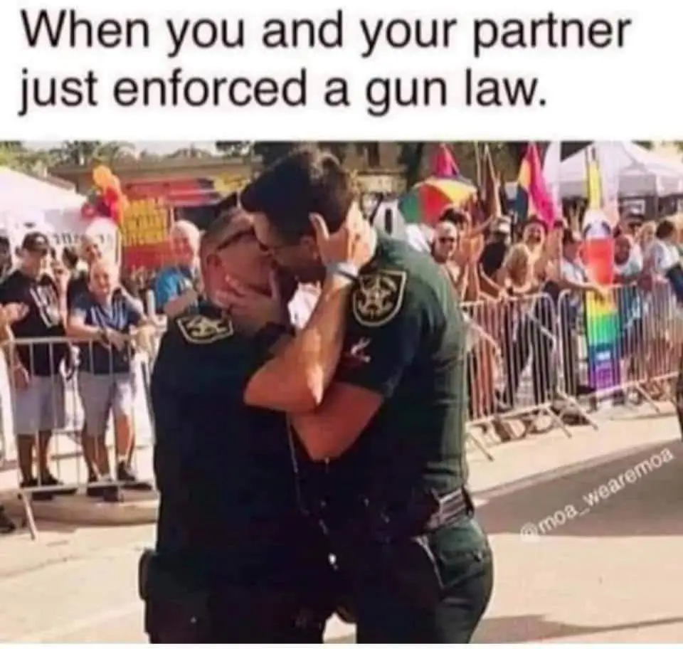 gun law.webp