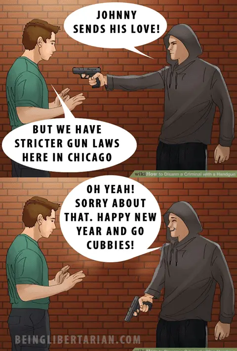 Gun Laws.webp