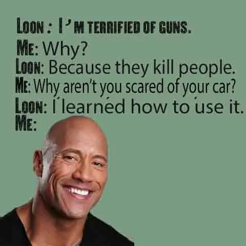 gun loon.webp