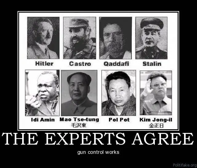 guncontrolworksfordictators.webp