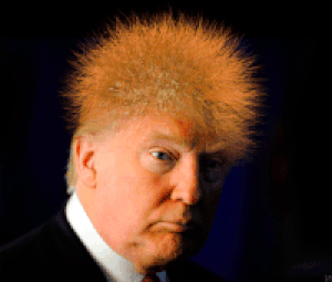hair.gif