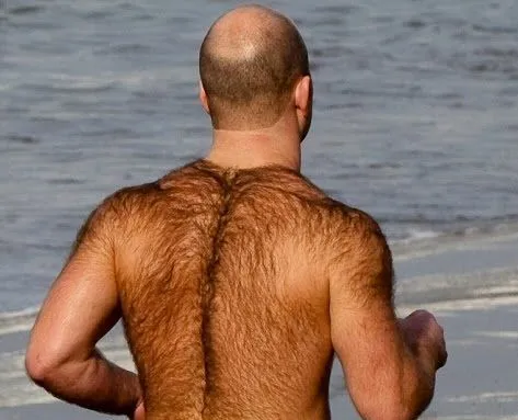 hairy body.webp