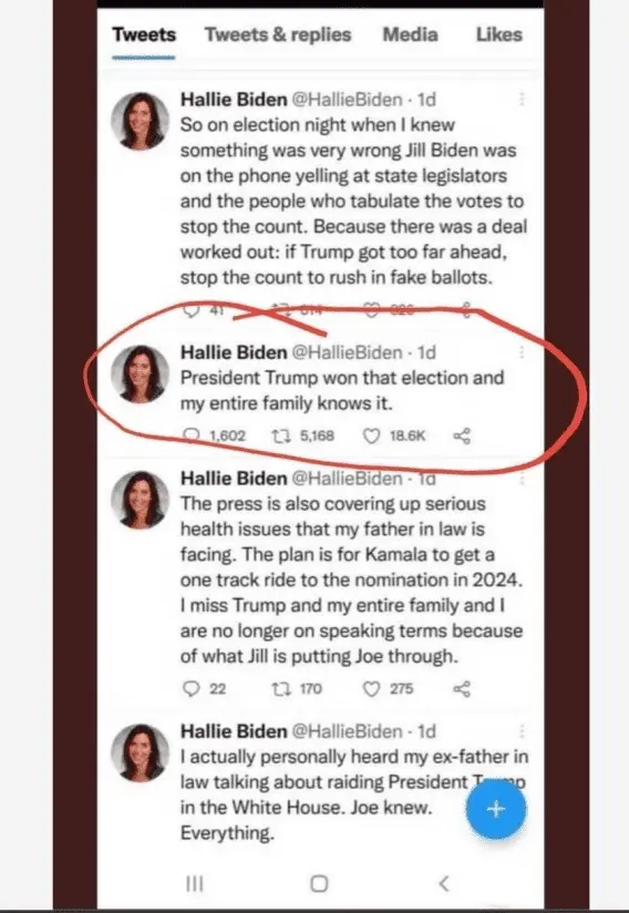 hallie email stolen election.webp