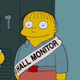 hallmonitor.webp