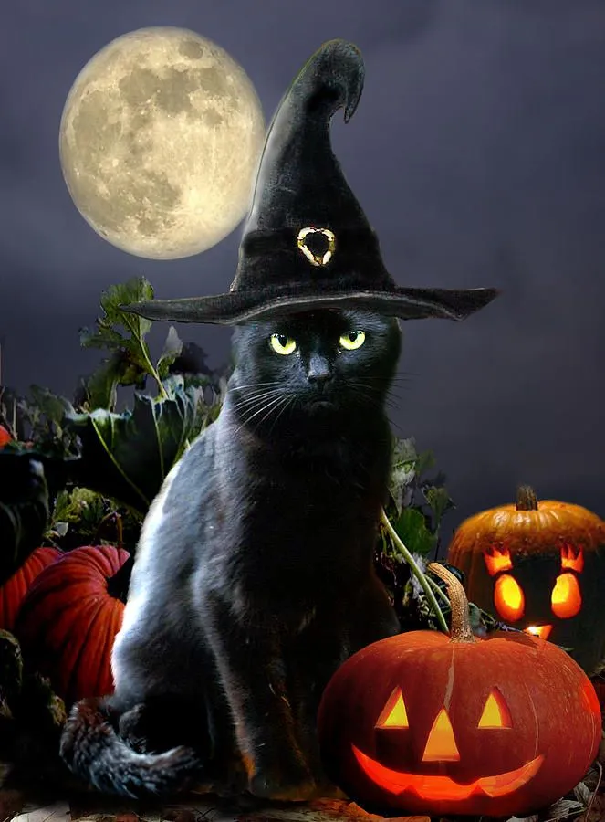 halloween-kitty-gina-femrite.webp