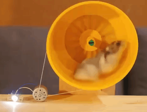 hamster-wheel-15.gif
