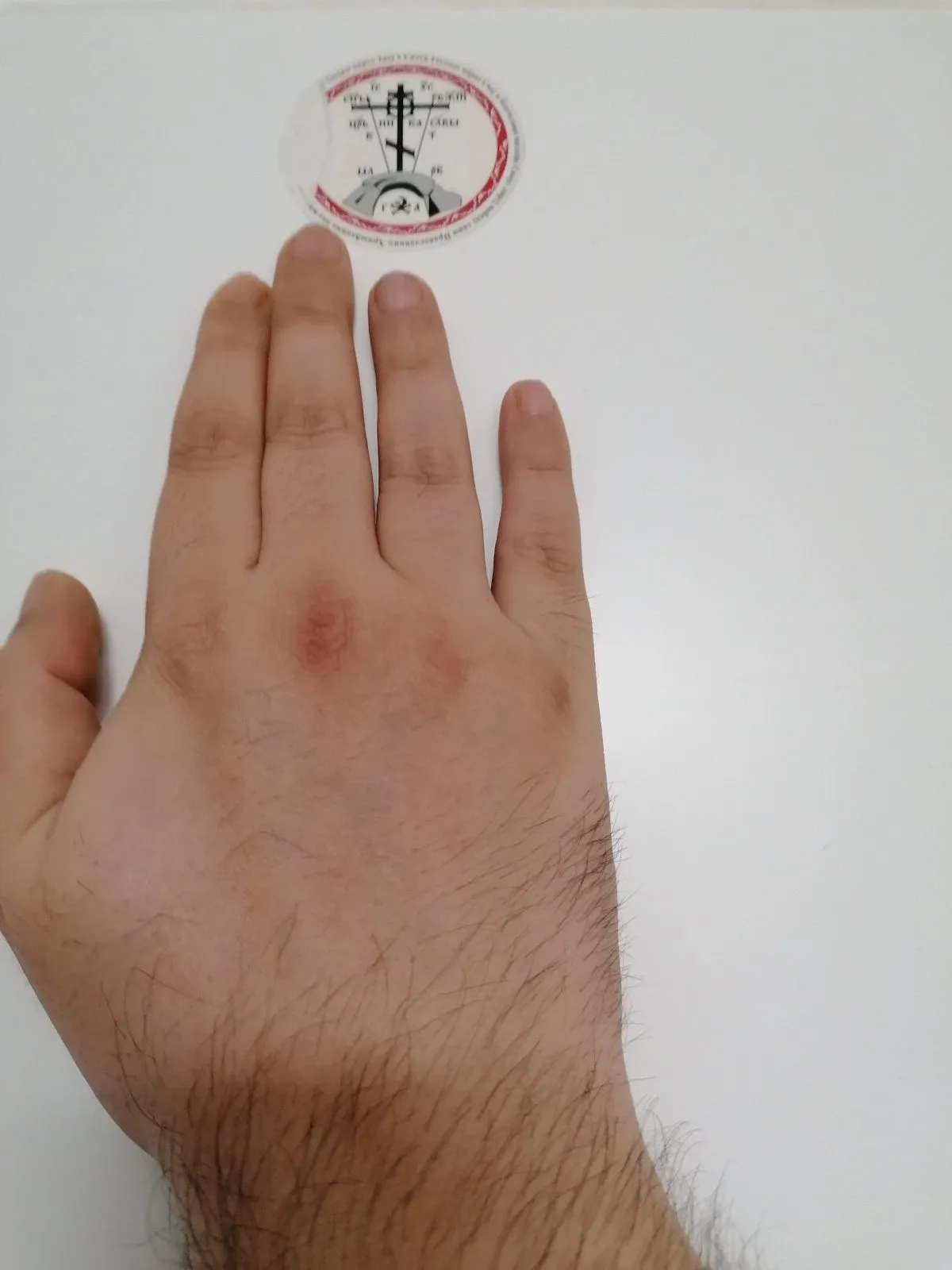 handsback.webp