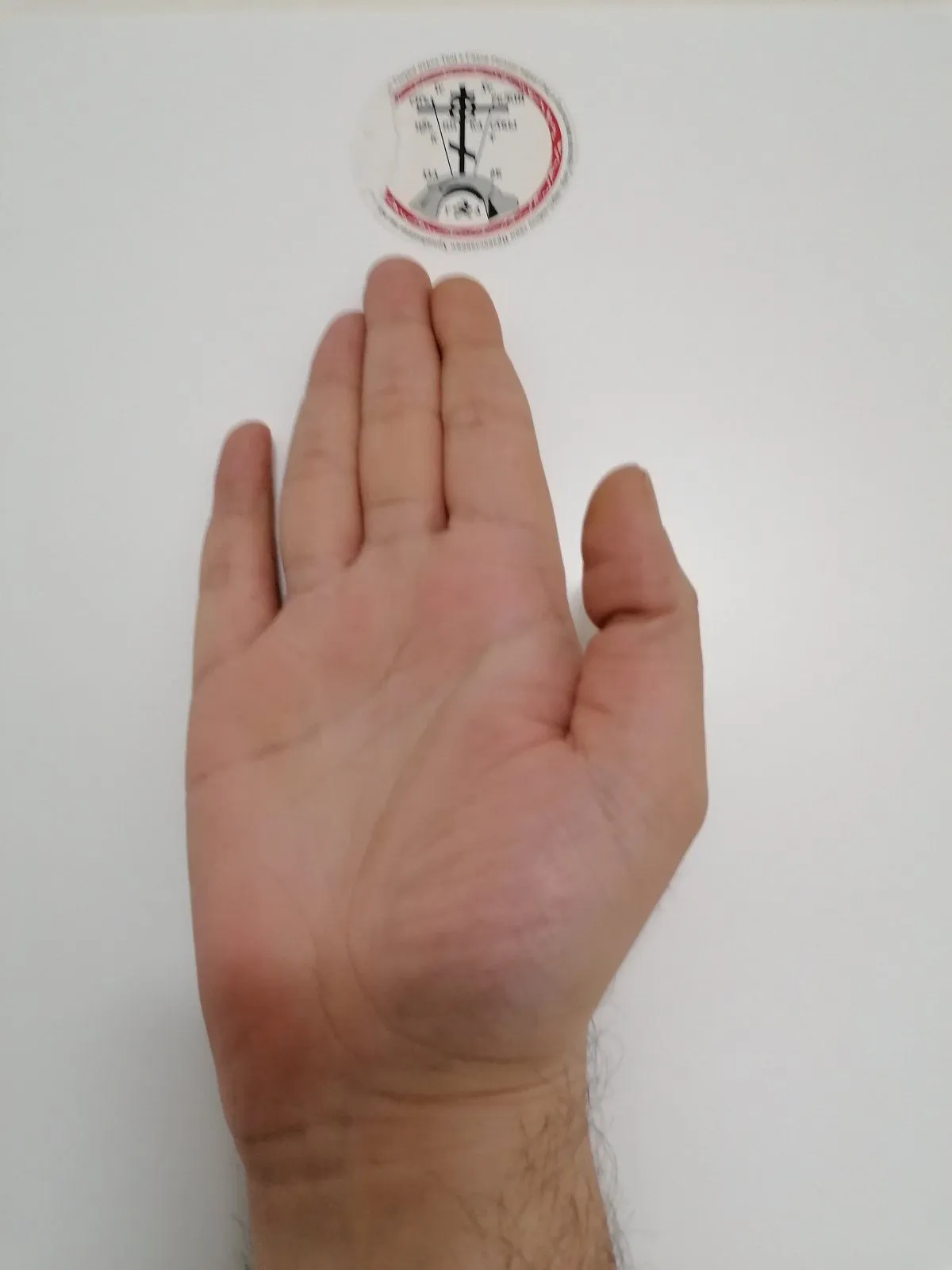 handspalm.webp