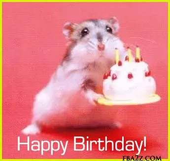 happy birthday hamster cake.webp
