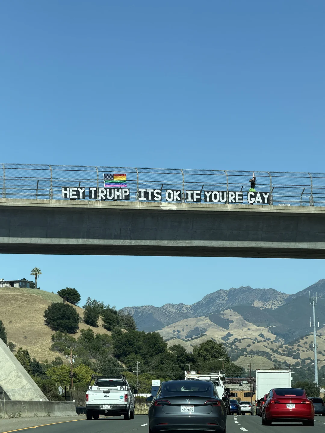 happy-gay-trump-pride-v0-abll0ion9r6h1.webp