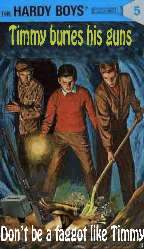 hardy boys bury their guns.webp