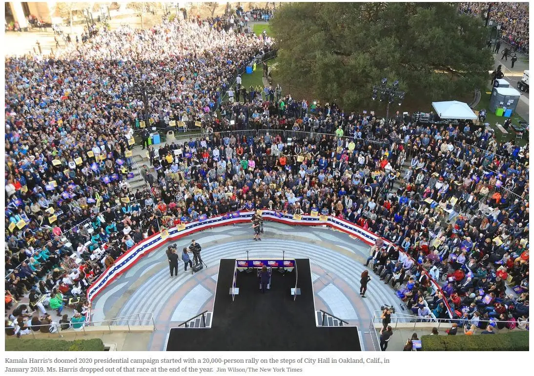 harris announcement 2019.webp