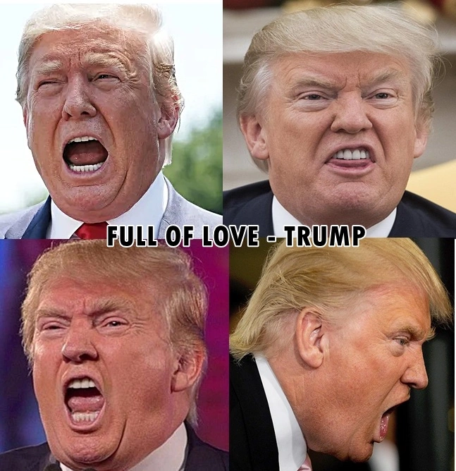 HateTrumpComp.webp