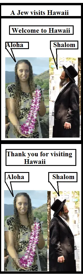 Hawaii 1.1.webp