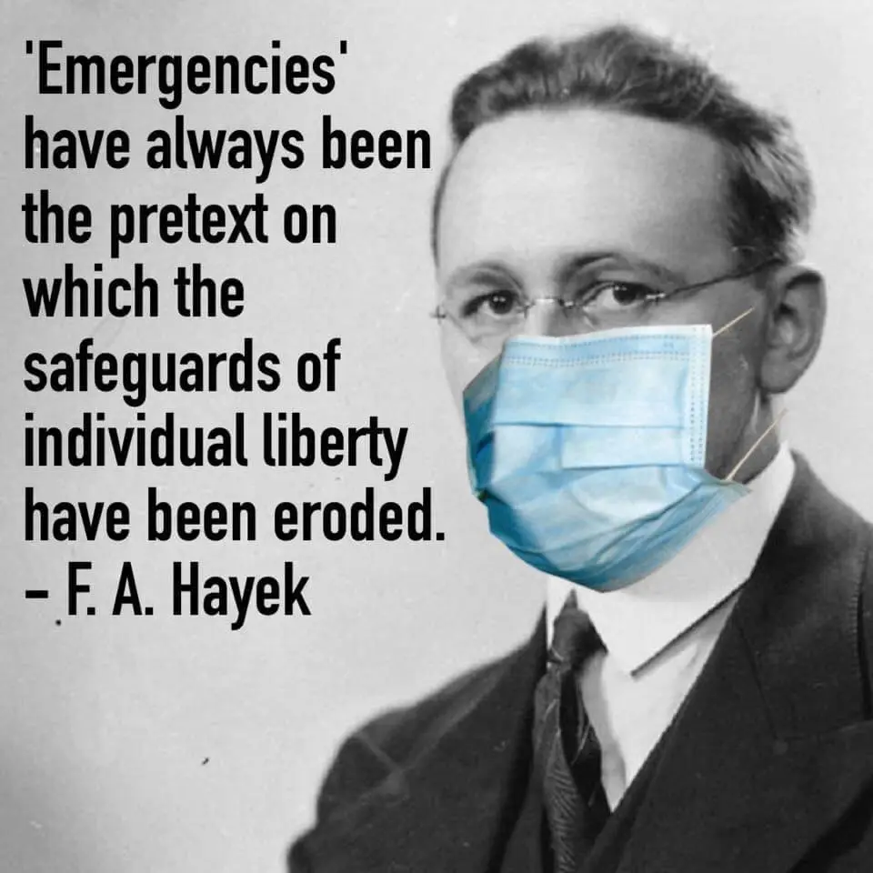 HayekEmergencies.webp