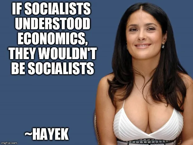 HayekSocialists.webp