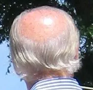 Head_of_JoeBiden.webp